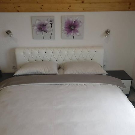 Guest House Jagoda Rakovica Εξωτερικό φωτογραφία